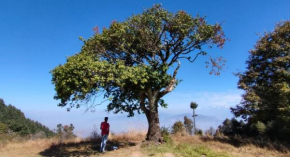 Camp Awara Kanatal